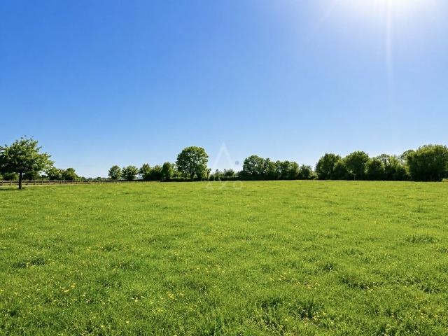 Maison avec 9 Hectares 165m² Vimoutiers