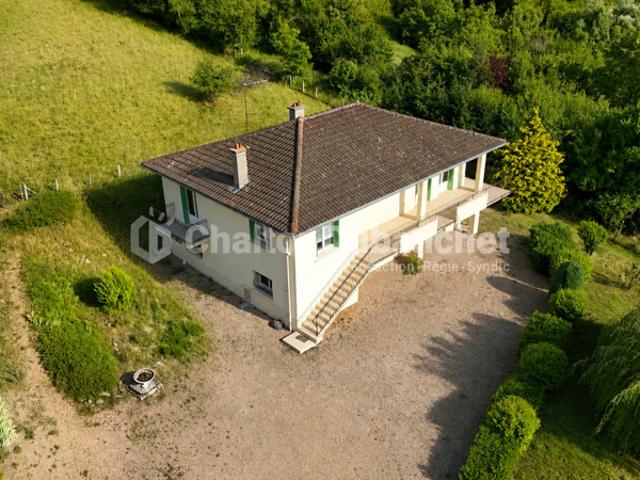 Maison avec terrain paysagé