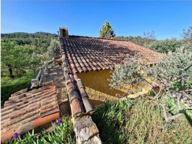 Maison au calme avec vue