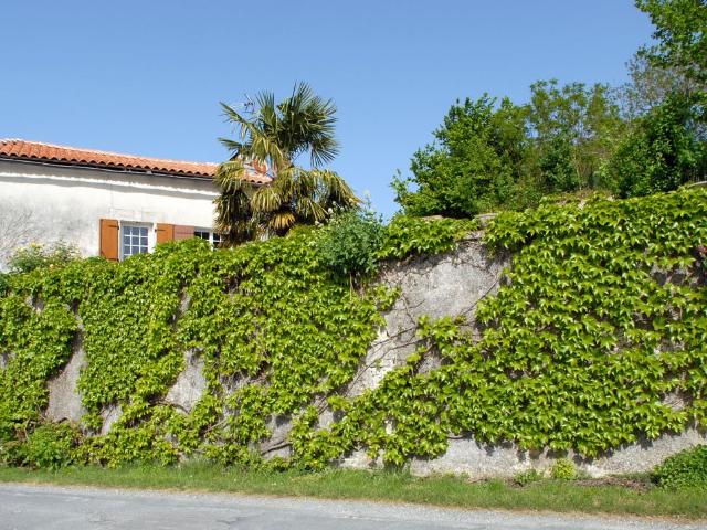 Maison avec grange 75m² Nanteuil Auriac de Bourzac
