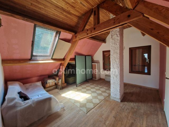 Maison avec grand terrain arboré à ARDON 45