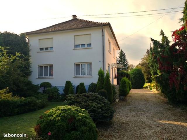 Maison avec grand terrain