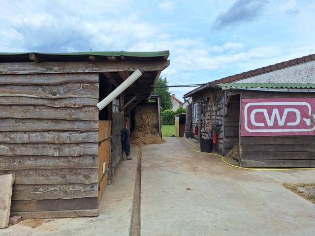 Maison avec installations équestres