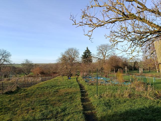 Maison avec jardin