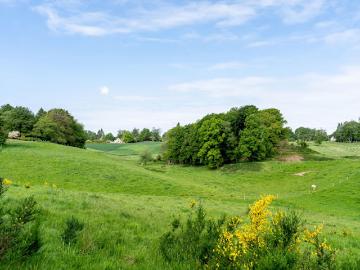 Lasne, Brabant wallon, Wallonie - Tuin