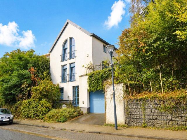 Maison avec jardin et garage
