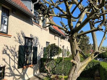 Anderlecht, Bruxelles-Capitale - Jardin