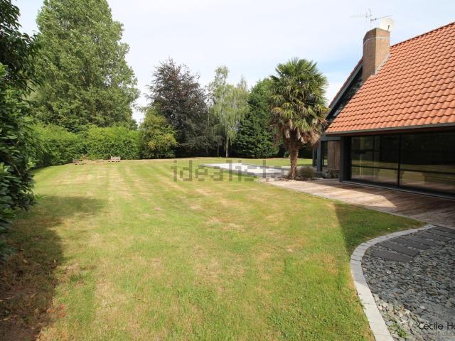 Maison, Avelin
