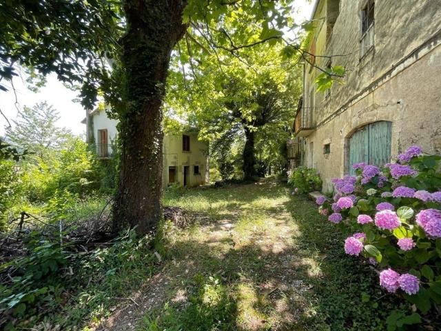 Maison, Avèze