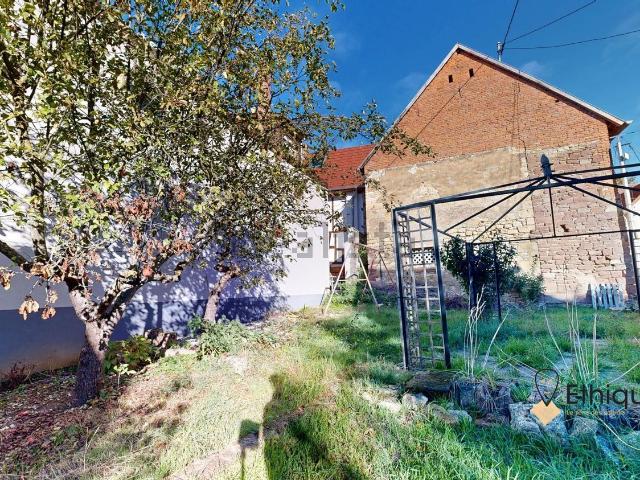 Maison, Bouxwiller