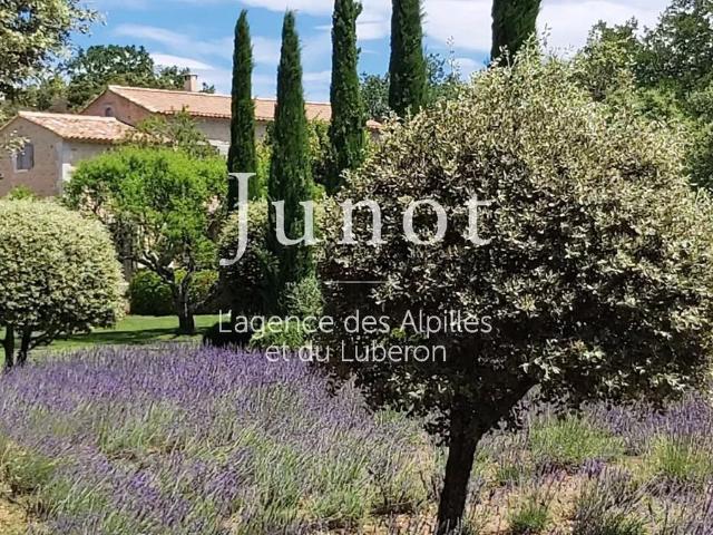 Maison, Bonnieux