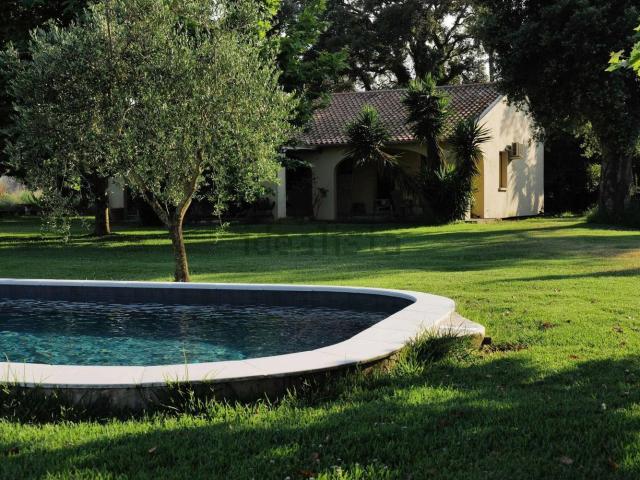 Maison, Borgo