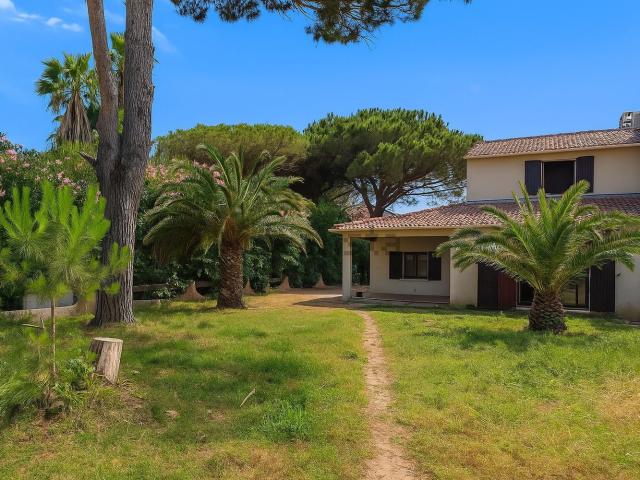 Maison, Borgo