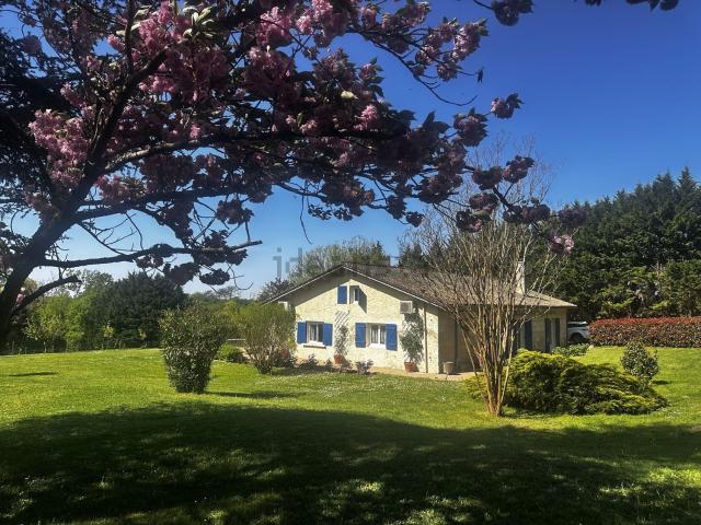 Maison, Bayas