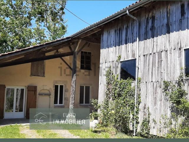 Maison, Bazas