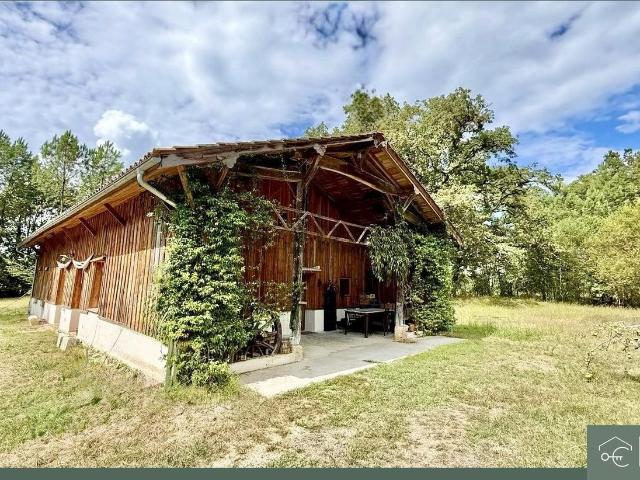 Maison, Bazas