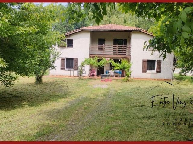 Maison, Bazas