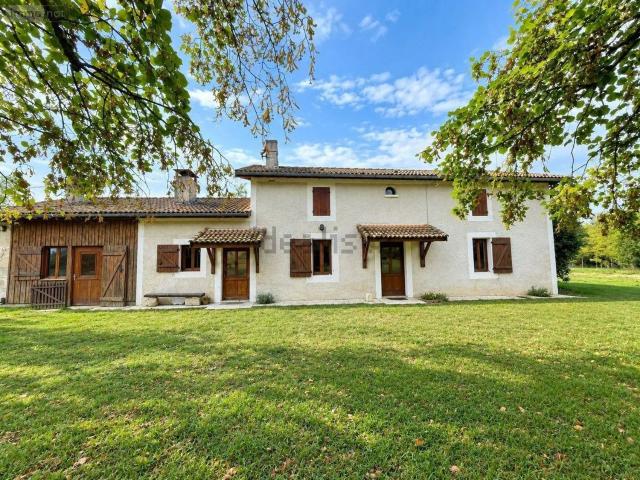 Maison, Bazas