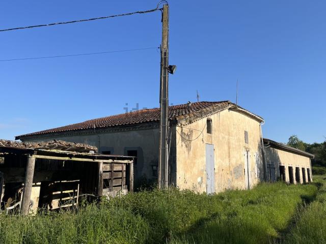 Maison, Bazas