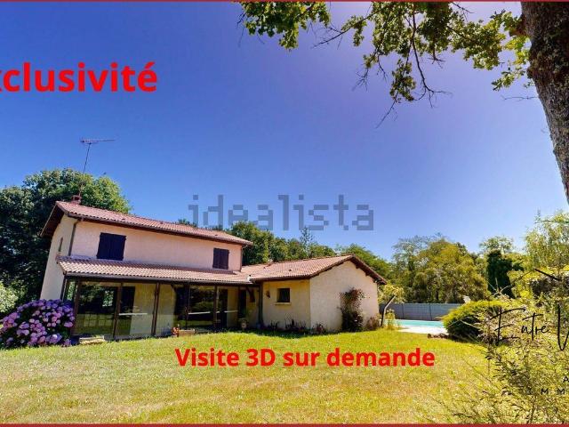 Maison, Bazas