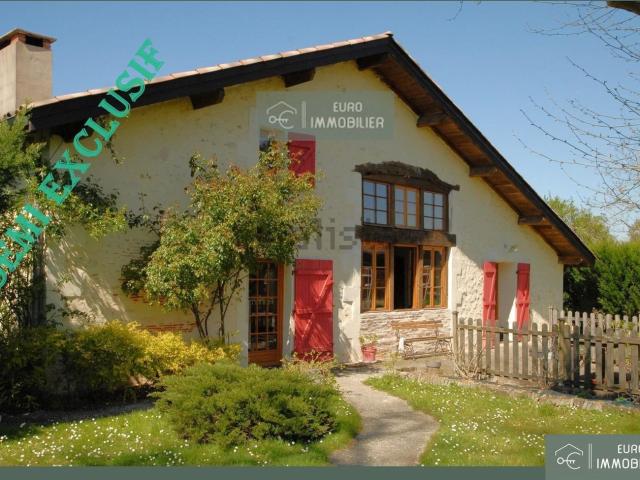 Maison, Bazas