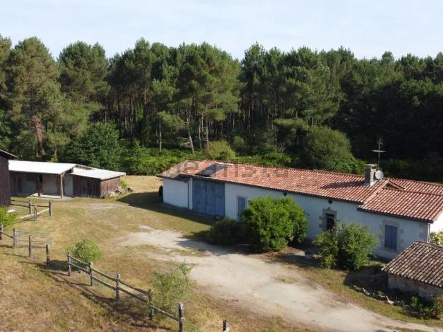 Maison, Bazas