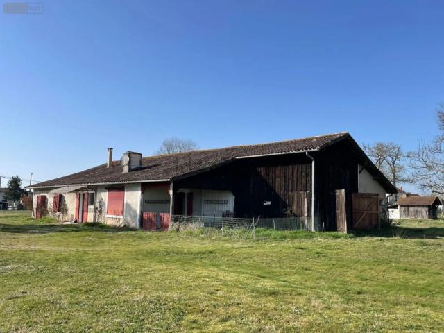 Maison, Bazas