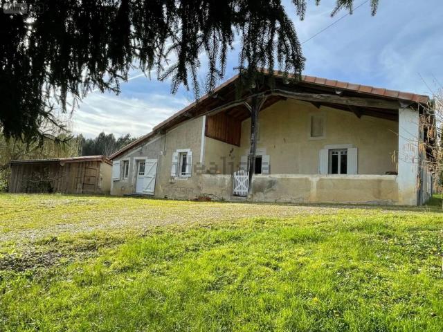 Maison, Bazas