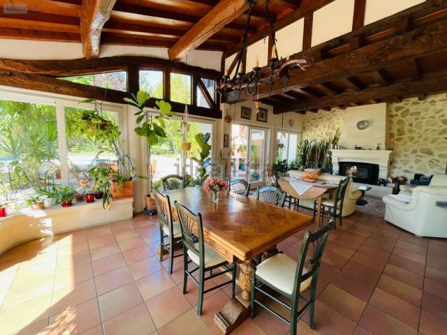 Maison, Bazas