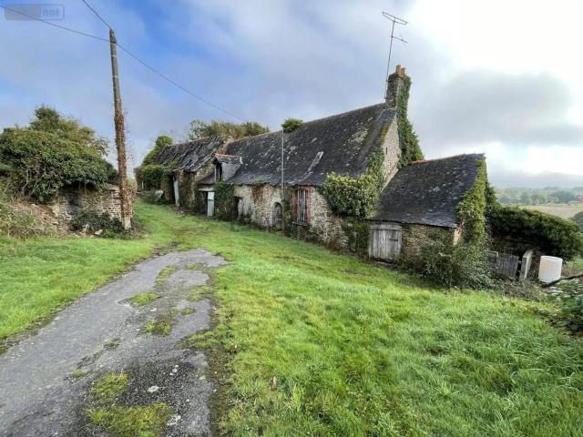Maison, Balazé