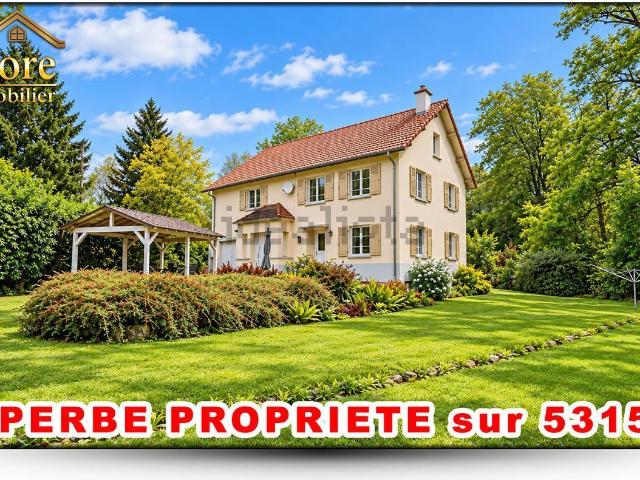 Maison, Ban sur Meurthe Clefcy