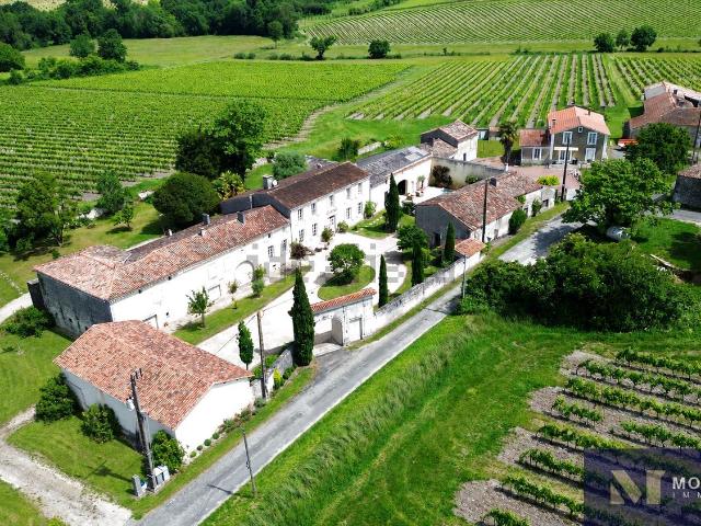 Maison, Bellevigne
