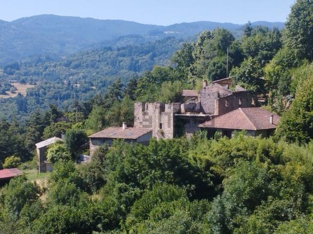 Maison, Belsentes