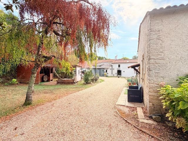 Maison, Bercloux