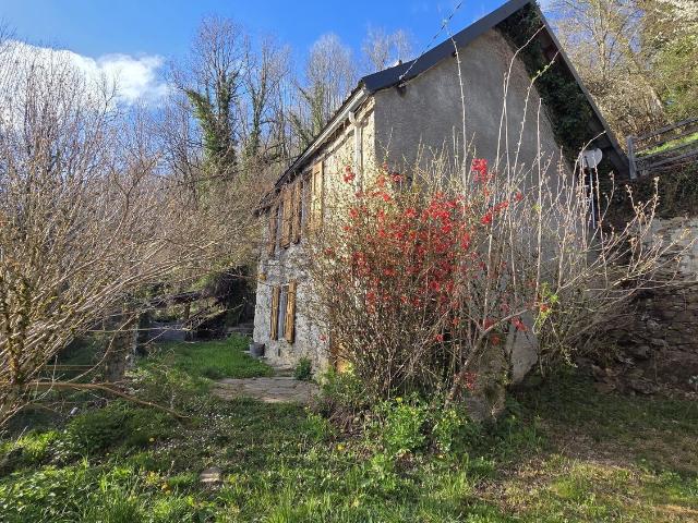 Maison, Biert