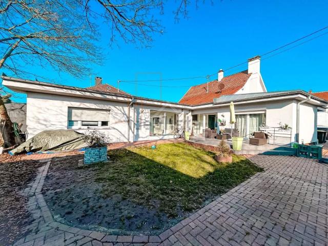 Maison, Bischwiller