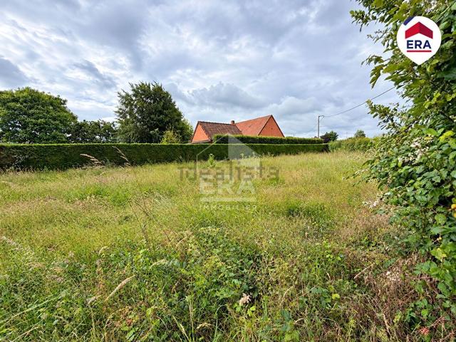 Maison, Blaringhem