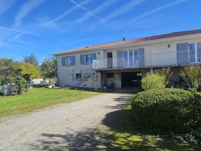 Maison, Blond