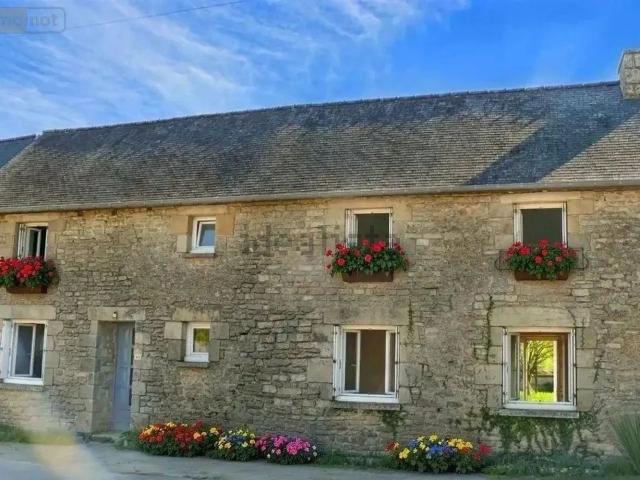 Maison, Brusvily