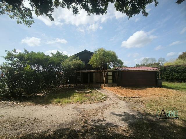 Maison, Brach