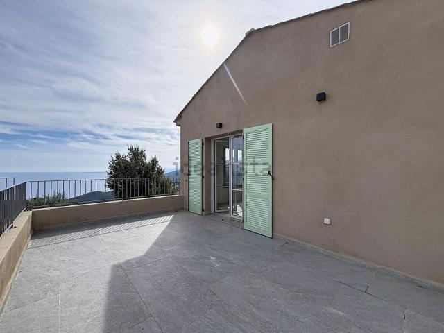 Maison, Brando