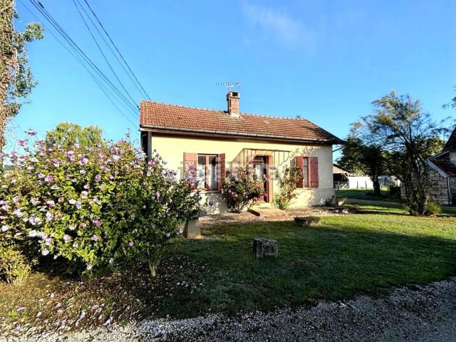 Maison, Brans