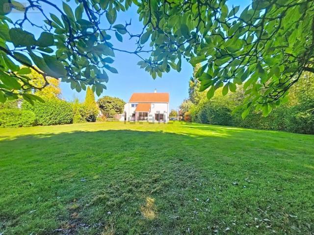 Maison, Busnes