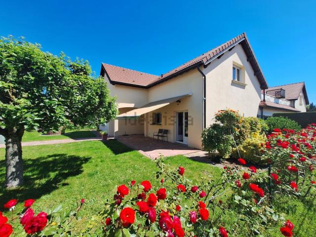 Maison, Golbey