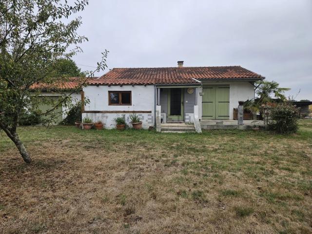 Maison, Galiax