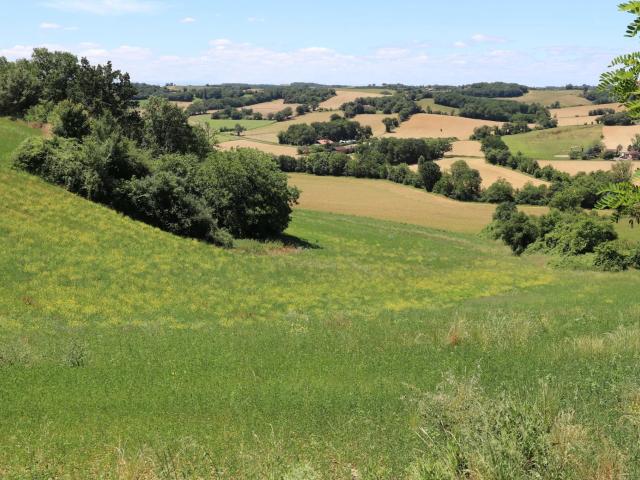 Maison Gascon avec vue panoramique sur les Pyrénées 225m² Laveraët