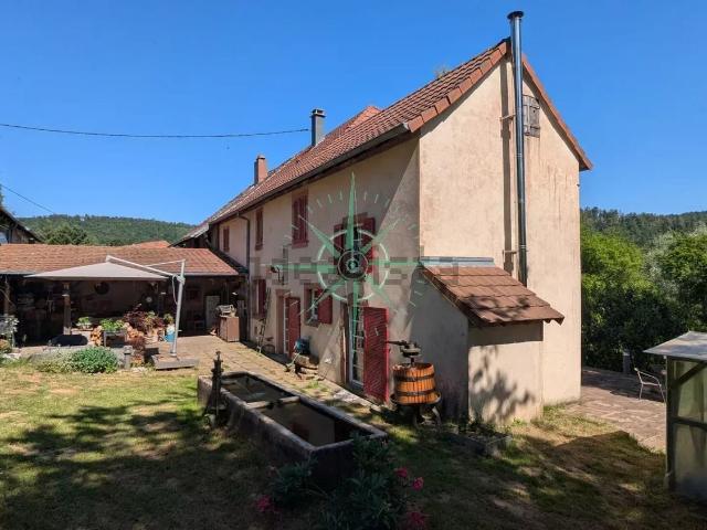 Maison, Grendelbruch