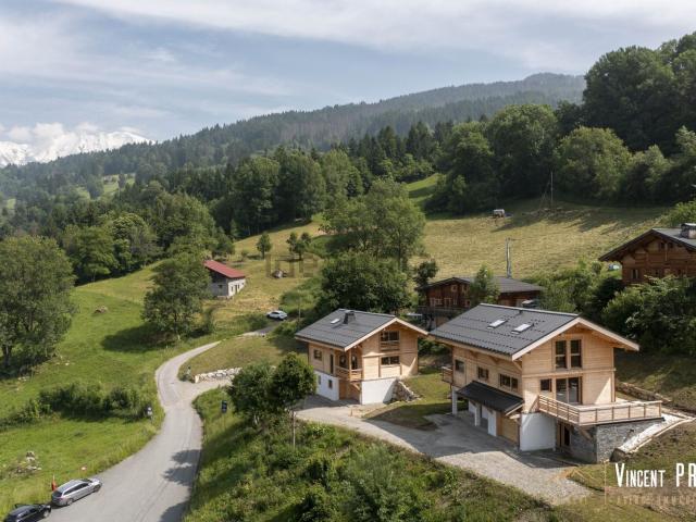 Maison, Domancy