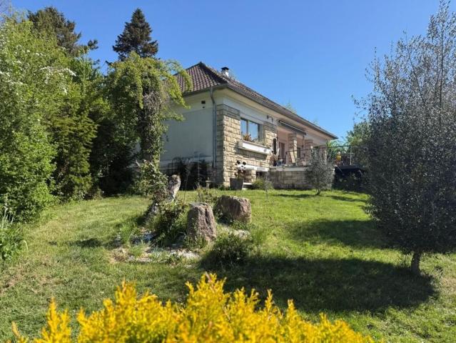 Maison, Donnemarie Dontilly