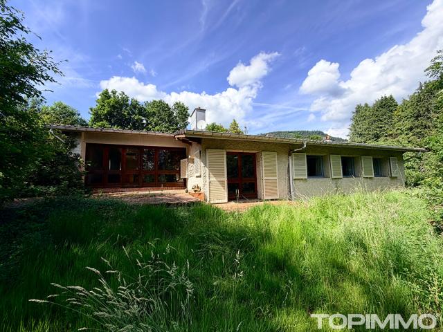 Maison d'architecte Saint Die Des Vosges 9 pièce s 250 m2